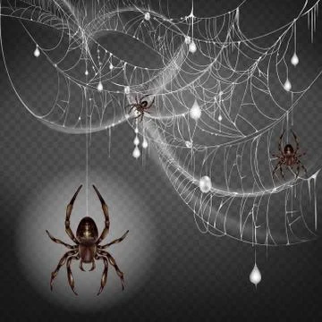 Scarifying spiders on web lace realistic vector Stock Illustration