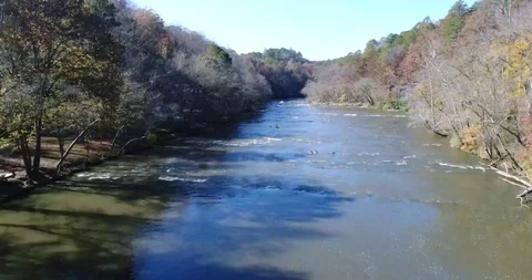 Scaring birds Vidéo 99846024