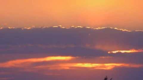 Scarlet dawn. Beautiful rays of the sun at dawn. Stock Footage 338120302