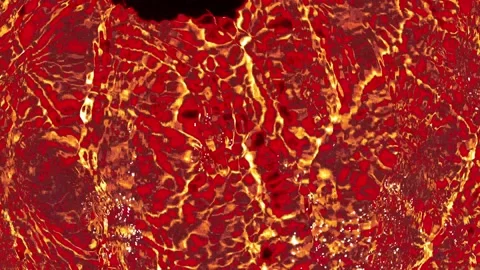 Scarlet liquid Stock Footage 168906992