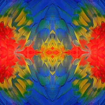Scarlet macaw feathers イラスト素材