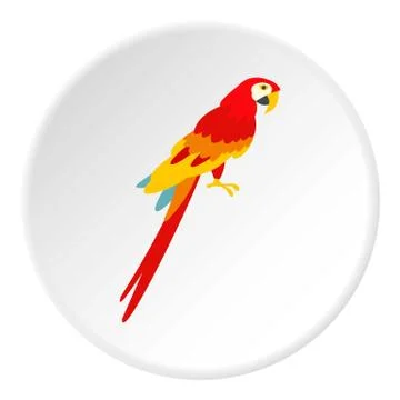 Scarlet macaws icon circle 스톡 일러스트