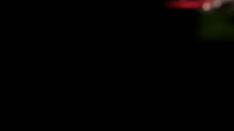 Scarlet Percher Dragonfly Stock Footage 329197029