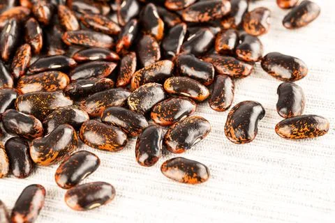 Scarlet runner beans Stock Photos