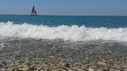 Scarlet sails on the sea Stock Footage 155691863