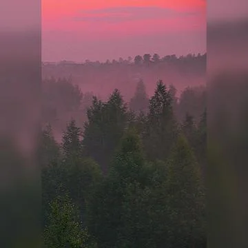 Scarlet sunset Stock Photos