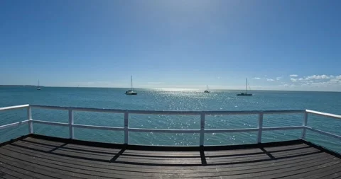 Scarness 스톡 동영상 246291023