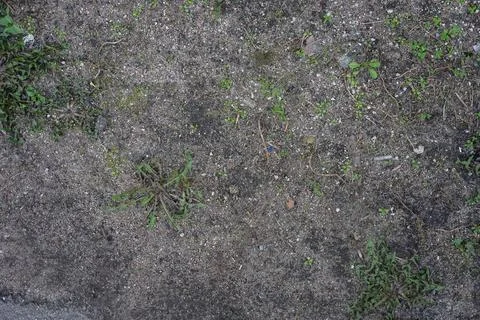 Scars grass in the ground texture Stock Photos
