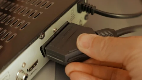 Scart Stock Footage 108773429