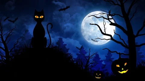 Scary Cat and Moon in Blue Background | Stock Video | Pond5