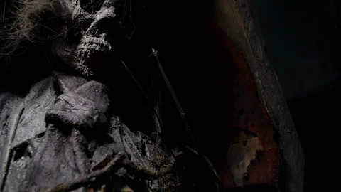 Scary corpse close up tilt up in coffin 動画素材 95962713