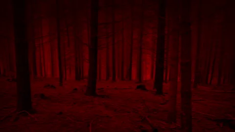 Scary Creature POV Running Around Forest Slope Stock Footage 278428588