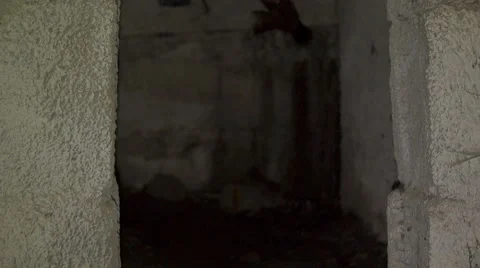 Scary dark corridors 2 Stock Footage 45588129