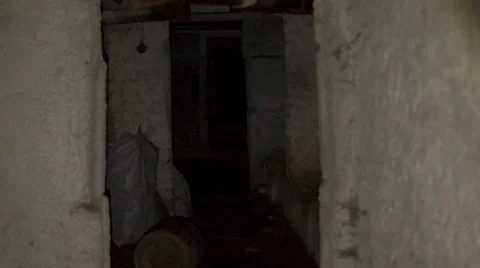 Scary dark corridors 3 库存影片 45588115