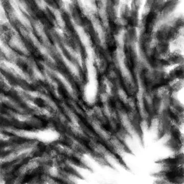 Scary dark muzzle with opened jaws. Black and white illustration. Stock Illustration