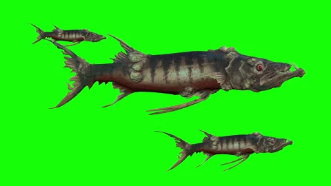 Scary deep sea monster fish swimming on green screen Stock Footage 321837205