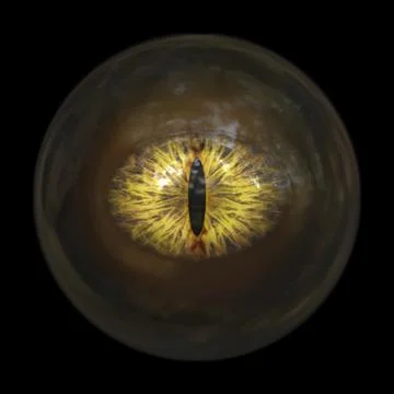 A scary devils eyeball 3d illustration Stock Illustration