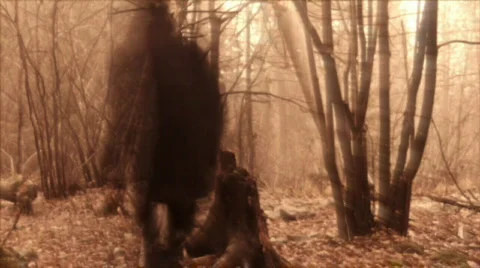 Scary figure in the forest Stock Footage