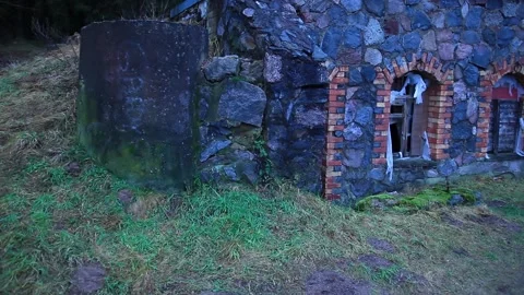 Scary forest Stock Footage 130491007