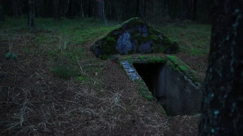 Scary forest Vídeo Stock 130492011