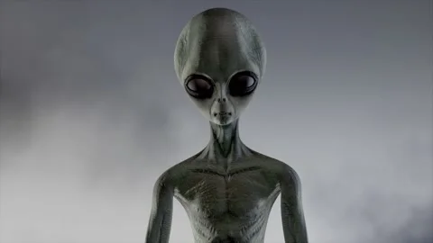 Scary gray alien stands and looks blinking on a dark smoky background. UFO Stock Footage 133253048