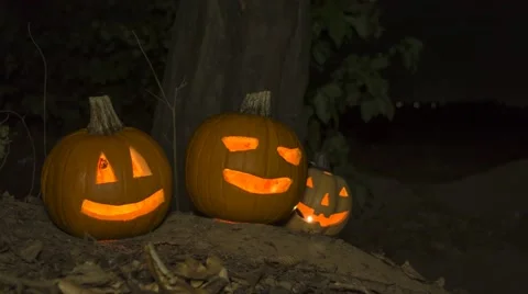 Scary halloween pumpkins in the forest Stock Footage 55078759