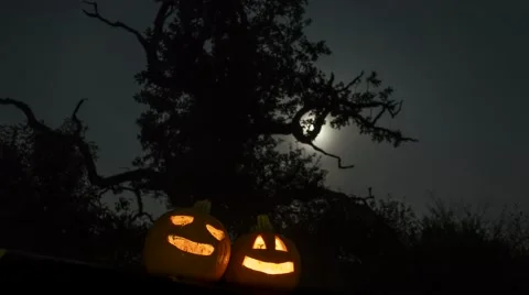 Scary halloween pumpkins in the forest Stock Footage 55196227