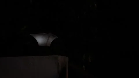 Scary haunted house with blinking light at night and trees in darkness Stock Footage 315019735