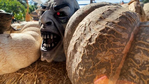 Scary Head pumpkin patch Video stock 118876470