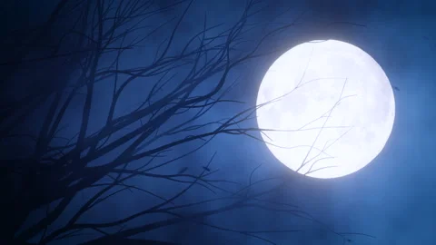 Scary horror scene with full moon in windy forest Stock Footage 162933799