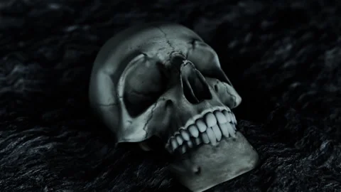 Scary Human Skull Close Up Stock Footage 130584360