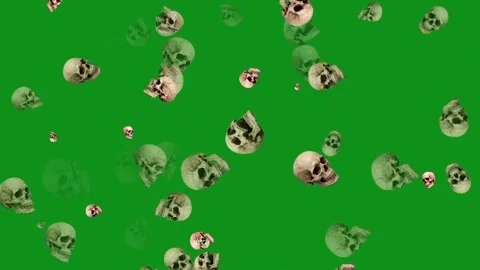 Scary human skulls motion graphics with green screen background Video stock 344126706