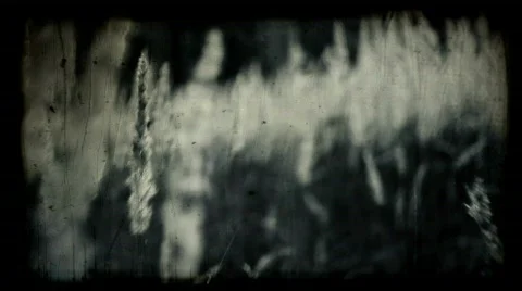 Scary incident at the Halloween Stock Footage