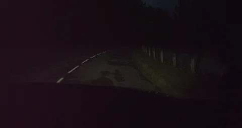 Scary isolated road during a winter night with white ground markings in Europe. Vídeo Stock 110697732
