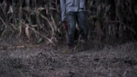 Scary man with an ax. Stock Footage 161114728