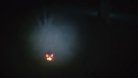 Scary man search in the night with Flashlight Stock-Footage 250765020