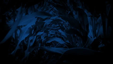 Scary Monster POV Walking Through Farm Field At Night Stock Footage 337836031