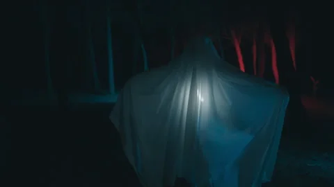 Scary monster walks through the forest at night Stock Footage 250660057