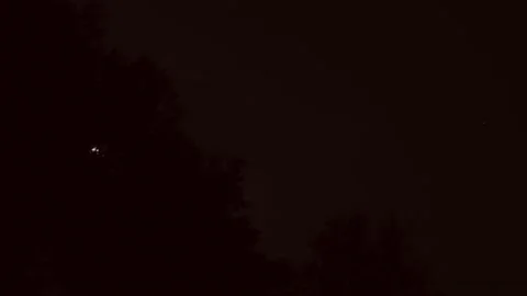 Scary Moon Behind Trees Stockbeeldmateriaal 206798299