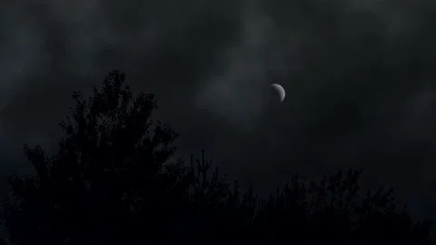 Scary Moon - Halloween Stock Footage 219372255