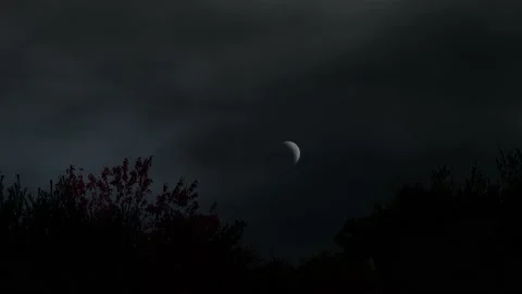 Scary Moon - Halloween Stock Footage 219372811