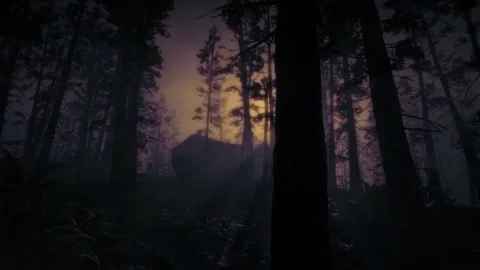 Scary Night Scene, Dark Forest, Mystical Trees, Moonlight, Horror in the Fog Stock Footage 270435020