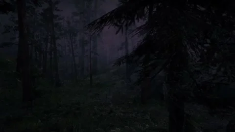 Scary Night Scene, Dark Forest, Mystical Trees, Horror in the Fog, Moonlight Stock Footage 270435021