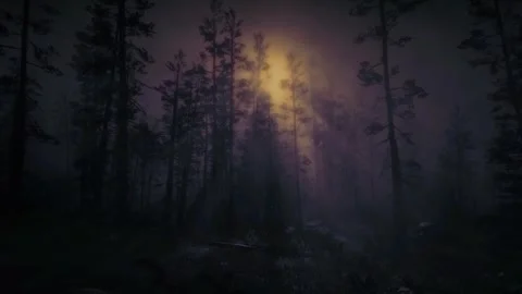 Scary Night Scene, Dark Forest, Moonlight, Mystical Trees, Horror in the Fog Stock Footage 270435022