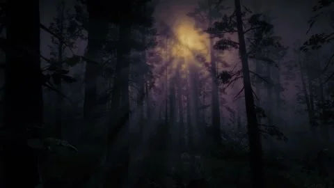 Scary Night Scene, Dark Forest, Moonlight, Horror in the Fog, Mystical Trees Stock Footage 270435023