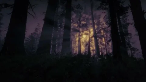 Scary Night Scene, Dark Forest, Horror in the Fog, Mystical Trees, Moonlight Stock Footage 270435045