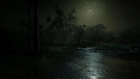 Scary Night Scene, Dark Forest, Horror in the Fog, Moonlight, Mystical Trees Stock Footage 270464093