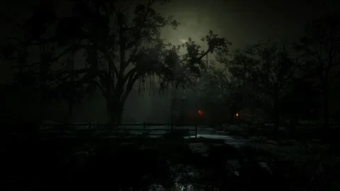 Scary Night Scene, Moonlight, Dark Forest, Mystical Trees, Horror in the Fog Stock Footage 270464103