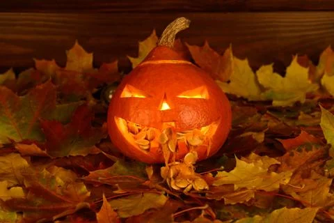 The scary orange pumpkin with light inside is on maple leafs Photos
