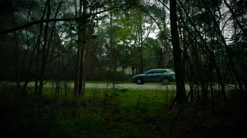 Scary POV moving through Trees, toward road 库存影片 283588217